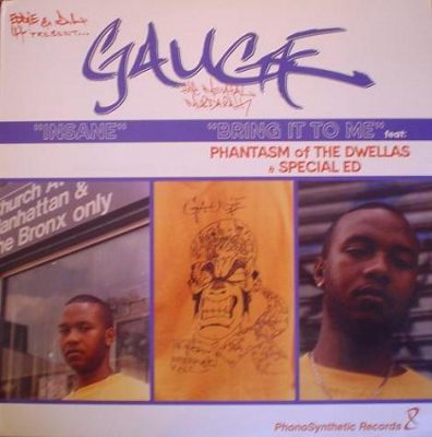 Gauge ‎– Insane / Bring It To Me (1999) (VLS) (320 kbps)