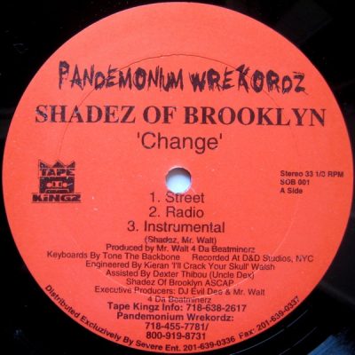 Shadez Of Brooklyn – Change / When It Rains It Pours (Survival Warz!) (VLS) (1996) (FLAC + 320 kbps)