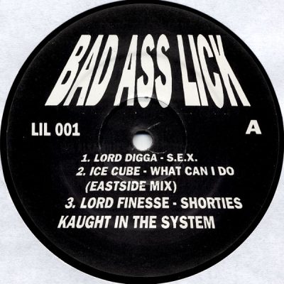 VA ‎– Bad Ass Lick EP (Vinyl) (1995) (VBR)