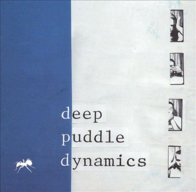Deep Puddle Dynamics – The Taste Of Rain…Why Kneel (CD) (1999) (FLAC + 320 kbps)