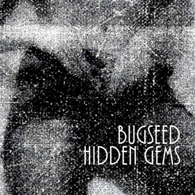 Bugseed – Hidden Gems (WEB) (2020) (320 kbps)