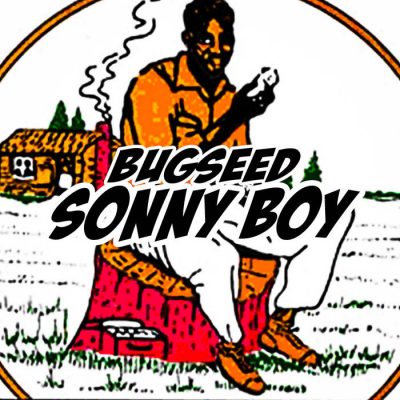 Bugseed – Sonny Boy (WEB) (2021) (320 kbps)