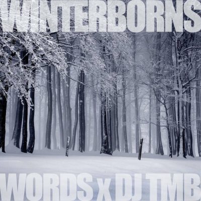 Words & DJ TMB – The Winterborns (WEB) (2021) (320 kbps)
