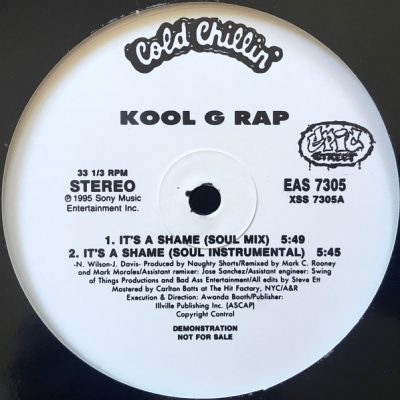 Kool G Rap – It’s A Shame (Promo VLS) (1995) (FLAC + 320 kbps)