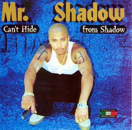 Mr Shadow Can T Hide From Shadow Cd Flac Kbps