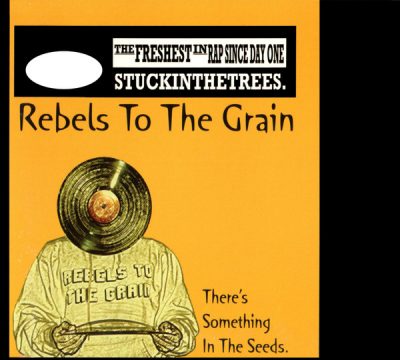 Rebels To The Grain – There’s Something In The Seeds (CD) (2008) (FLAC + 320 kbps)