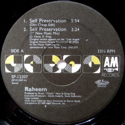 Raheem – Self Preservation (VLS) (1989) (FLAC + 320 kbps)