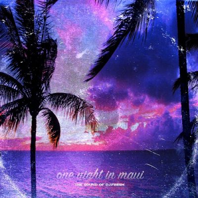 DJ Fresh – One Night In Maui (WEB) (2019) (320 kbps)