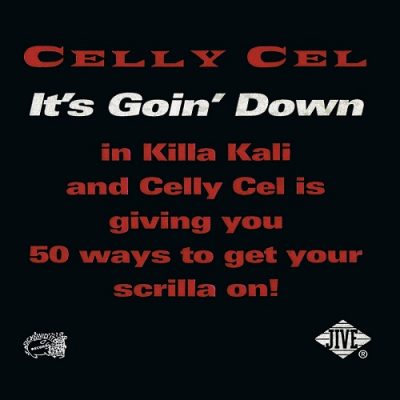 Celly Cel – It’s Goin’ Down (WEB Single) (1996) (320 kbps)