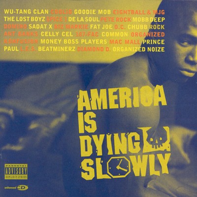 VA – America Is Dying Slowly (CD) (1996) (FLAC + 320 kbps)