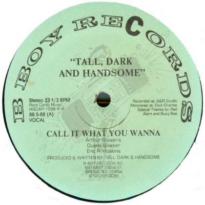 Tall Dark And Handsome – Call It What You Wanna / My Love Tune (VLS) (1988) (FLAC + 320 kbps)