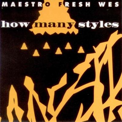 Maestro Fresh-Wes – How Many Styles (CDM) (1994) (320 kbps)
