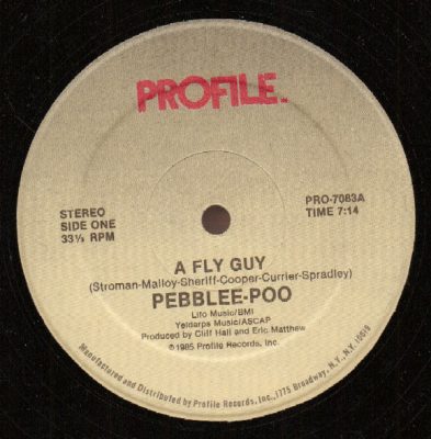 Pebblee-Poo ‎– A Fly Guy (VLS) (1985) (256 kbps)