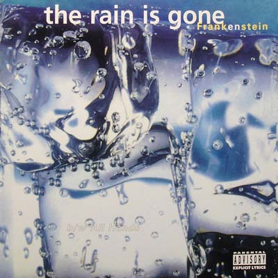 Frankenstein ‎– The Rain Is Gone / All Hands (VLS) (1996) (FLAC + 320 kbps)