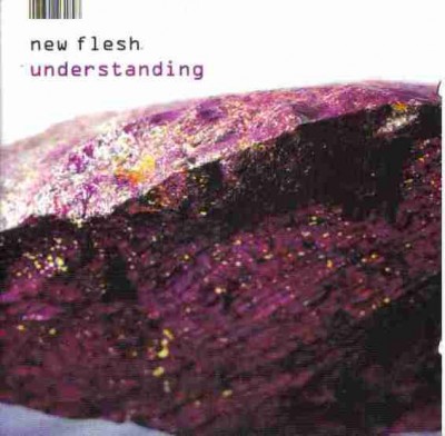 New Flesh ‎– Understanding (CD) (2002) (FLAC + 320 kbps)