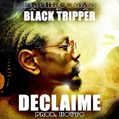 Declaime – Dr. Shrooman Aka Black Tripper (CD) (2010) (320 kbps)