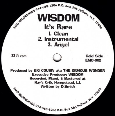 Wisdom – It's Rare / All Star Jam (VLS) (1996) (FLAC + 320 kbps)