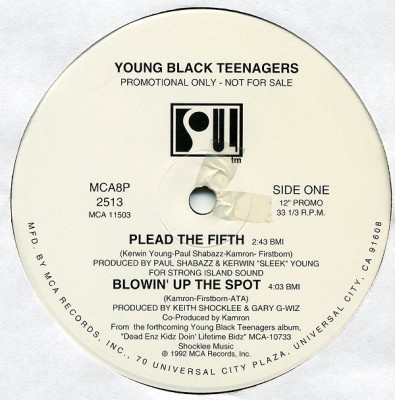 Young Black Teenagers – Plead The Fifth (Vinyl EP) (1992) (320 kbps)