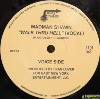Madman Shawn – Walk Thru Hell (VLS) (2012) (FLAC + 320 kbps)