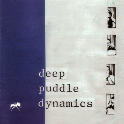 Deep Puddle Dynamics – The Taste Of Rain…Why Kneel (Reissue CD) (1999-2002) (FLAC + 320 kbps)
