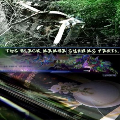 Bigg Jus – Black Mamba Serums (CD) (2002) (FLAC + 320 kbps)