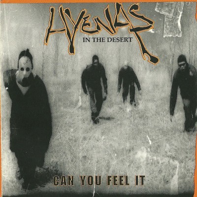 Hyenas in the Desert - Can You Feel It (Promo CD Single)