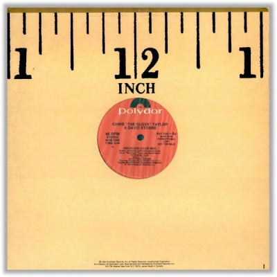 Ice-T, The Glove & Dave Storrs – Reckless / Tebitan Jam (VLS) (1984) (FLAC + 320 kbps)