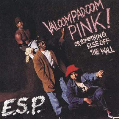 E.S.P. – Valoompadoom Pink! Or Something Else Off The Wall (CD) (1991) (FLAC + 320 kbps)