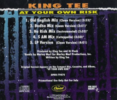 King Tee – At Your Own Risk (Promo CDS) (1990) (FLAC + 320 kbps)