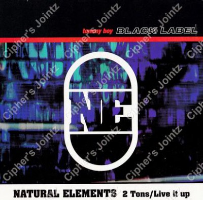 Natural Elements – 2 Tons / Live It Up (CDS) (1999) (320 kbps)