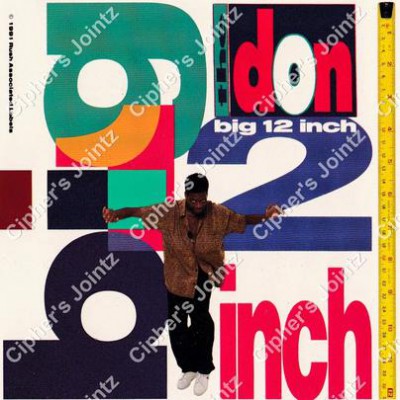 The Don – Big 12 Inch (CDS) (1991) (320 kbps)