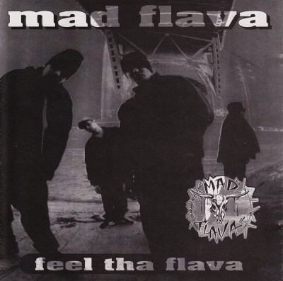 Mad Flava – Feel The Flava (CDS) (1993) (320 kbps)