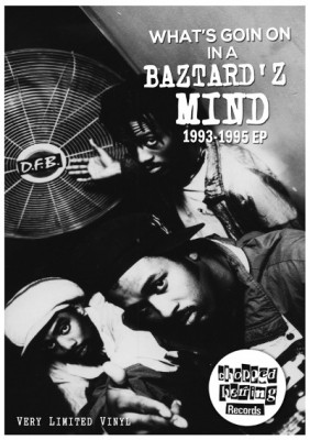 Doz Funky Baztardz – What’s Going On In A Baztard’z Mind 1993-1995 EP (Vinyl) (2014) (FLAC + 320 kbps)