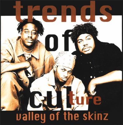 Trends Of Culture – Valley Of The Skinz (CDS) (1993) (FLAC + 320 kbps)
