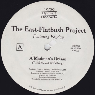 The East-Flatbush Project – A Madman’s Dream / Can’t Hold It Back (VLS) (1994) (FLAC + 320 kbps)