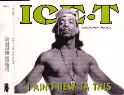 Ice-T – I Ain't New Ta This (Promo CDS) (1993) (FLAC + 320 kbps)