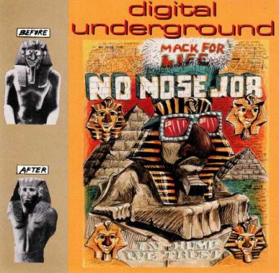 Digital Underground – No Nose Job (CDM) (1992) (FLAC + 320 kbps)