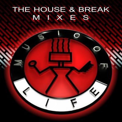 VA – The House & Break Mixes (WEB) (2015) (320 kbps)
