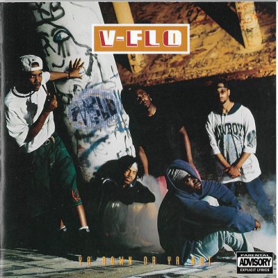 V-Flo – Ya Down Or Ya Not (1993) (CD) (FLAC + 320 kbps)