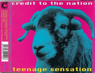 Credit To The Nation – Teenage Sensation (1994) (CDS) (FLAC + 320 kbps)