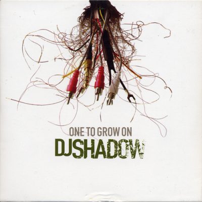 DJ Shadow – One To Grow On (2001) (Promo CD) (FLAC + 320 kbps)