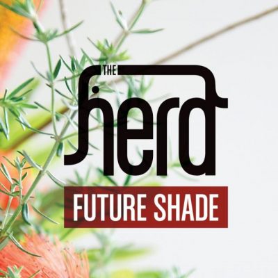 The Herd – Future Shade (CD) (2011) (FLAC + 320 kbps)