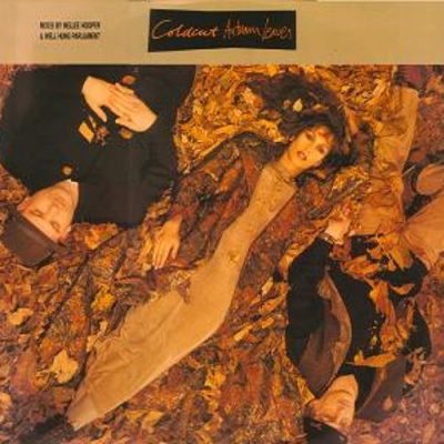 Coldcut – Autumn Leaves (1993) (CDS) (FLAC + 320 kbps)