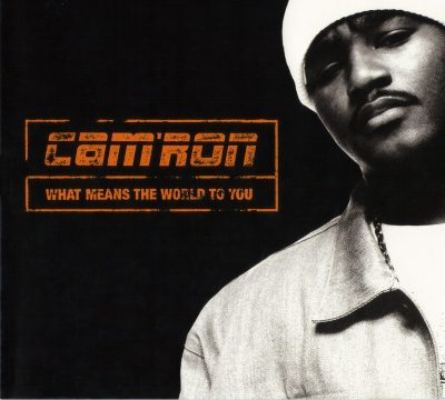 Cam’ron – What Means The World To You (CDS) (2000) (FLAC + 320 kbps)