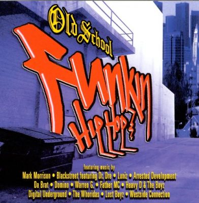 VA – Old School Funkin Hip Hop (CD) (2000) (FLAC + 320 kbps)