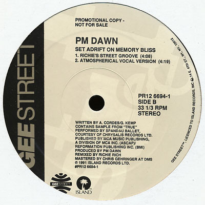 P.M. Dawn – A Watcher’s Point Of View (Don’t ‘Cha Think) / Set Adrift On Memory Bliss (Promo VLS) (1991) (FLAC + 320 kbps)