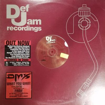 DMX – What You Want / Fame (VLS) (2000) (FLAC + 320 kbps)