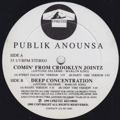 Publik Anounsa – Comin’ From Crooklyn Jointz / Deep Concentration (VLS) (1995) (FLAC + 320 kbps)