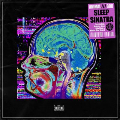 Sleep Sinatra – Animal /// God (WEB) (2019) (320 kbps)