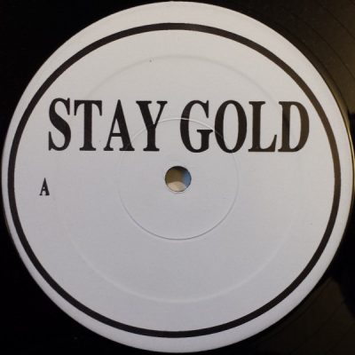 Young Zee – Stay Gold (VLS) (1996) (320 kbps)